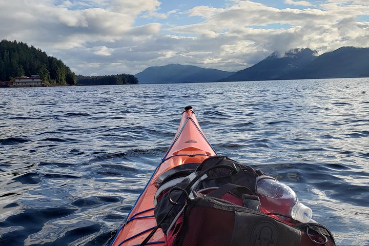 Kayak Tours