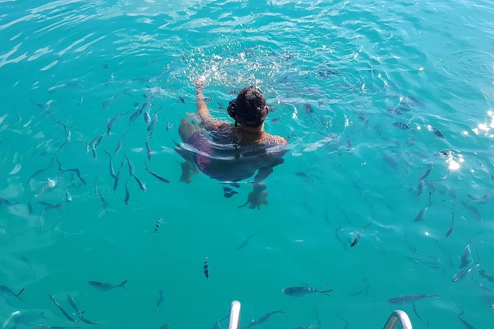 Half Day Pig Island and Snorkeling Experience