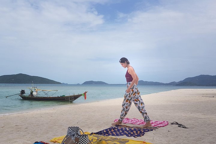 Half Day Pig Island and Snorkeling Experience