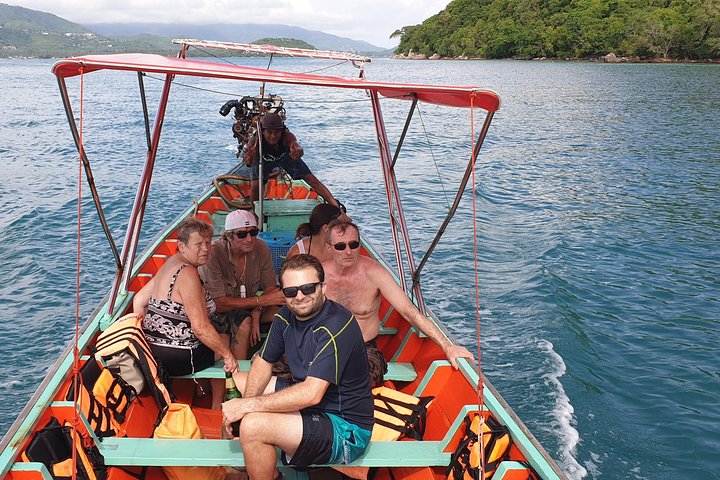 Half Day Pig Island and Snorkeling Experience