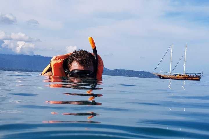 Half Day Pig Island and Snorkeling Experience