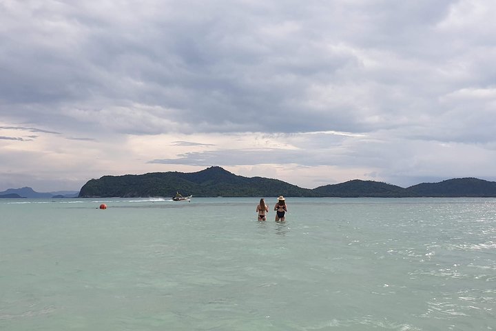 Half Day Pig Island and Snorkeling Experience