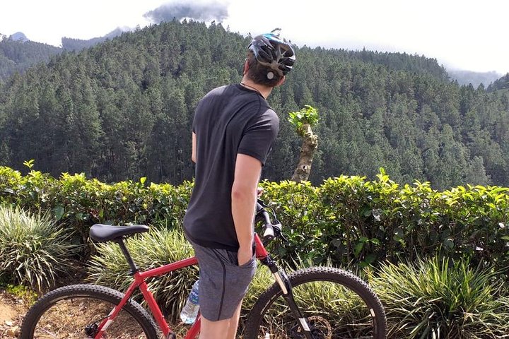 Cycle from Adam's Peak to Kithulgala and go white water rafting