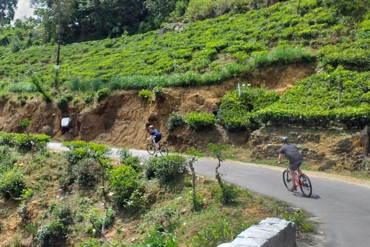 Cycle from Adam's Peak to Kithulgala and go white water rafting
