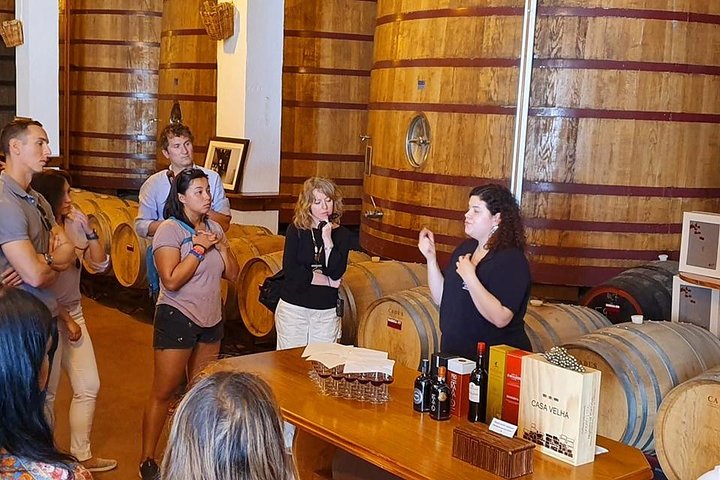 Complete Douro Valley Wine Tour with Lunch, Wine Tastings and River Cruise