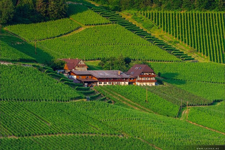 Black Forest. From Baden-Baden to Strasbourg. Two countries in one day