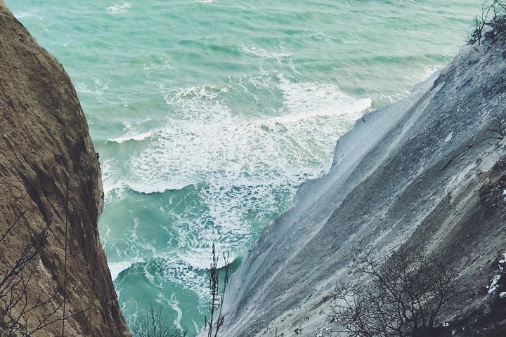 Møns klint and The Forest tower - A day tour from Copenhagen
