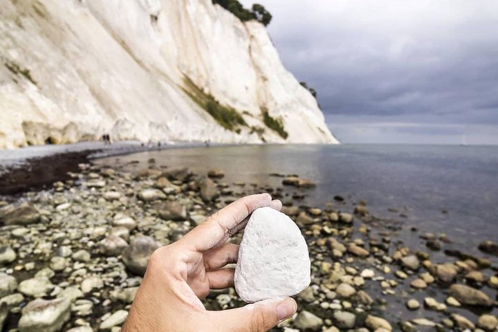 Møns klint and The Forest tower - A day tour from Copenhagen