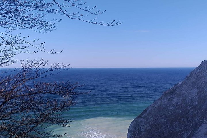 Møns klint and The Forest tower - A day tour from Copenhagen