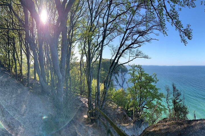 Møns klint and The Forest tower - A day tour from Copenhagen