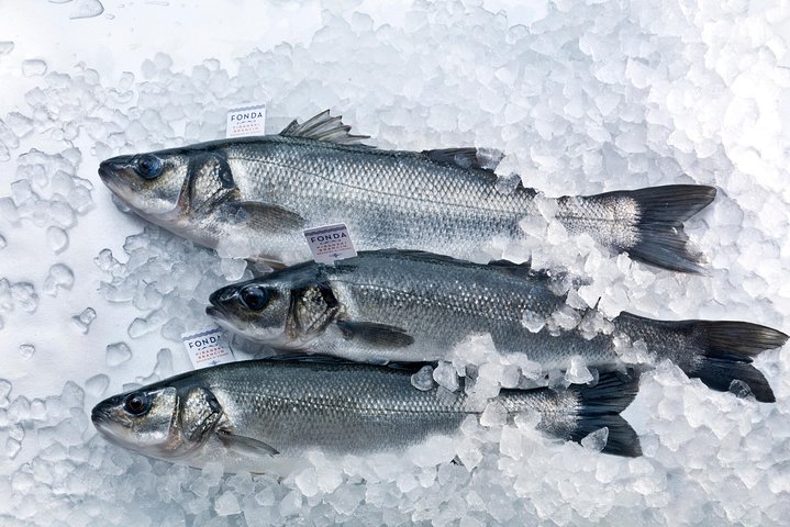 An Unforgettable Day With Fish, Wine and Olive Oil Tasting