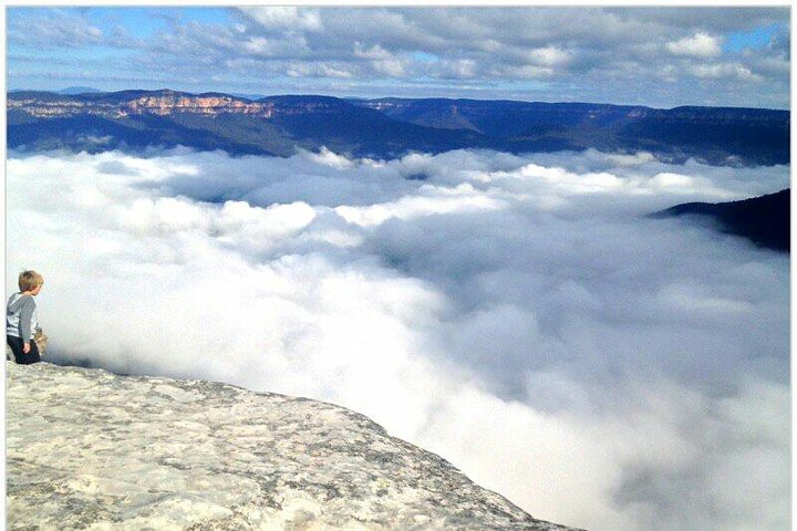 Exclusive Blue Mountains Wildlife and Bushwalk Tour From Sydney