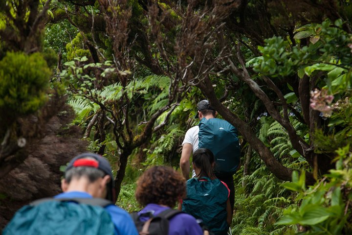 10 Volcanos hiking private tour in Faial