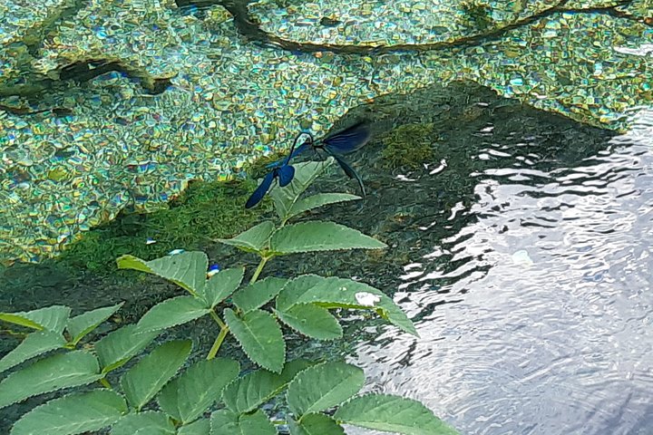 Blue Eye Spring Tour- pickup from Saranda & Ksamil