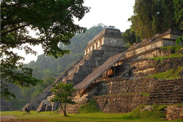 PALENQUE RUINS, AGUA AZUL and MISOL-HA (Private)