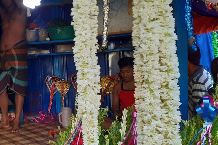 Private Kolkata Tour: Half & Full Day Options