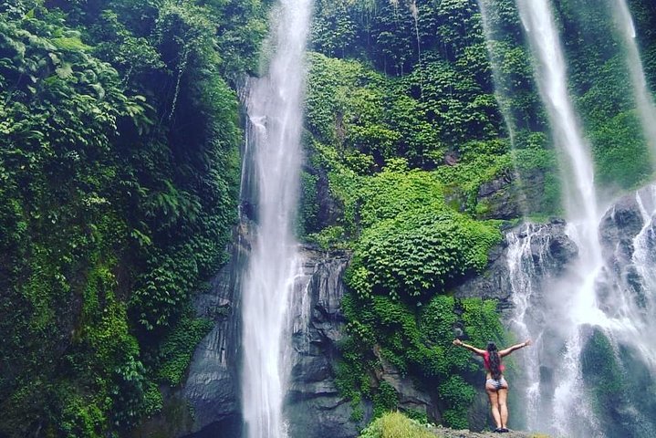 Jatiluwih rice terraces,ulundanu and sekumpul waterfall trips