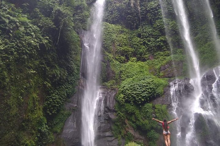 Jatiluwih rice terraces,ulundanu and sekumpul waterfall trips