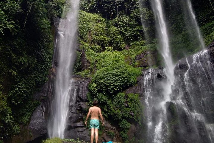Jatiluwih rice terraces,ulundanu and sekumpul waterfall trips