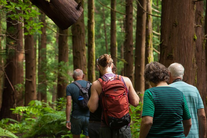 10 Volcanos hiking private tour in Faial