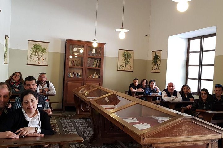 Ubeda and Baeza. South Renaissance (Tickets included)