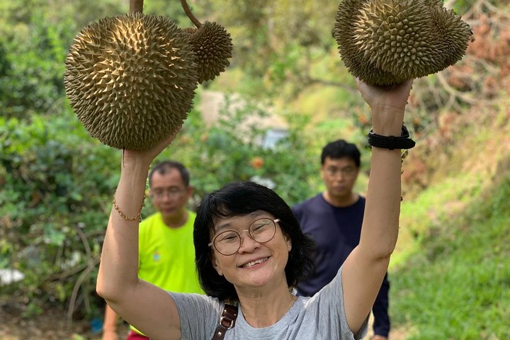 Penang: Flexible 6-Hours Highlights