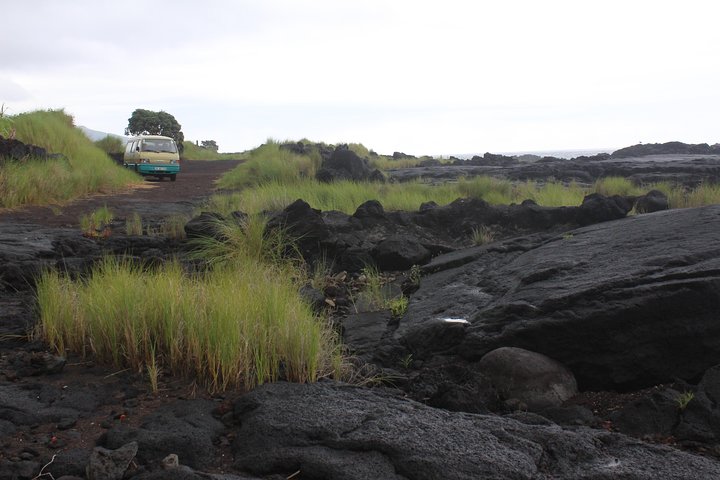 Banana Trip - Full day private tour to Pico with Round Trip from Faial