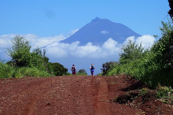 Trail Running private tour in Faial