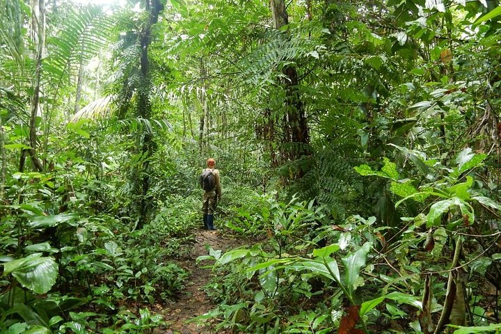 Rurrenabaque Pampas. 3 Days & 2 Nights.PRIVATE TOUR 3PPL MIN