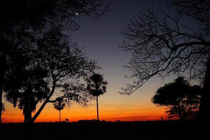 Rurrenabaque Pampas. 3 Days & 2 Nights.PRIVATE TOUR 3PPL MIN