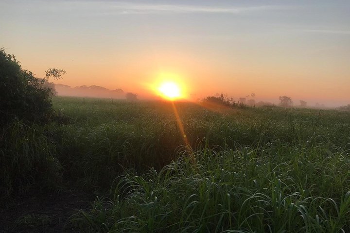 Rurrenabaque Pampas. 3 Days & 2 Nights.PRIVATE TOUR 3PPL MIN