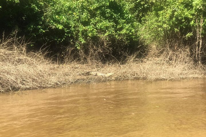 Rurrenabaque Pampas. 3 Days & 2 Nights.PRIVATE TOUR 3PPL MIN