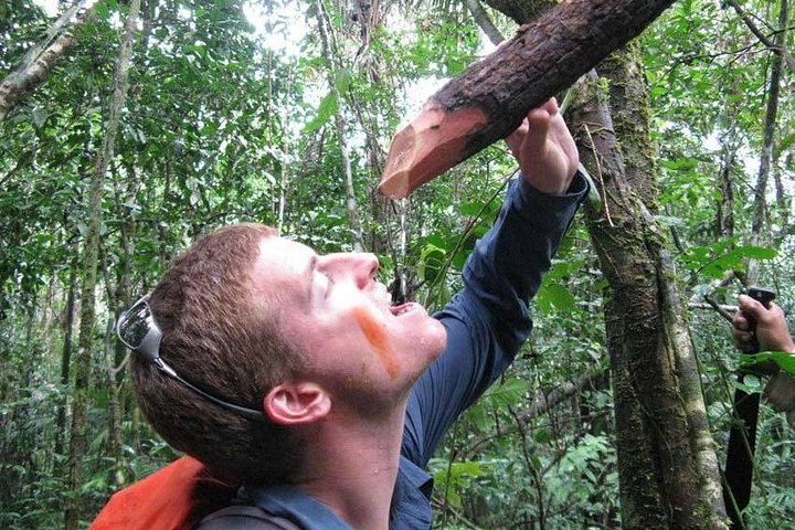 Rurrenabaque Pampas. 3 Days & 2 Nights.PRIVATE TOUR 3PPL MIN