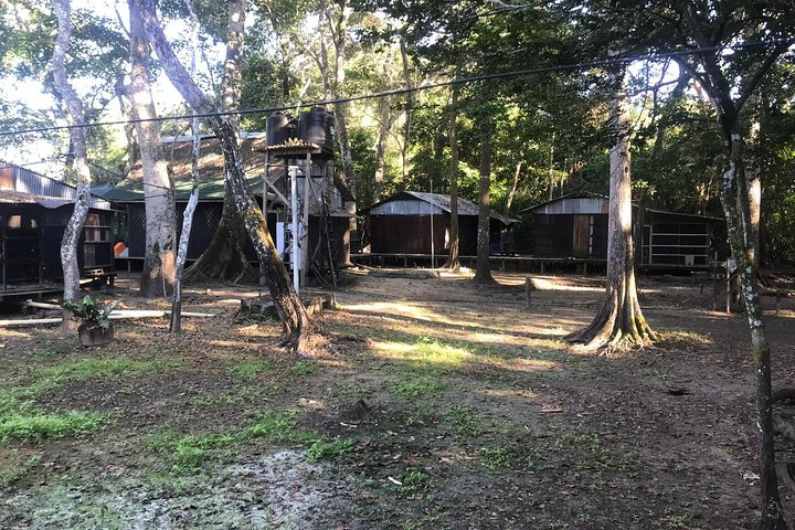 Rurrenabaque Pampas. 3 Days & 2 Nights.PRIVATE TOUR 3PPL MIN