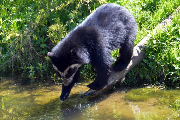 Rurrenabaque Pampas. 3 Days & 2 Nights.PRIVATE TOUR 3PPL MIN