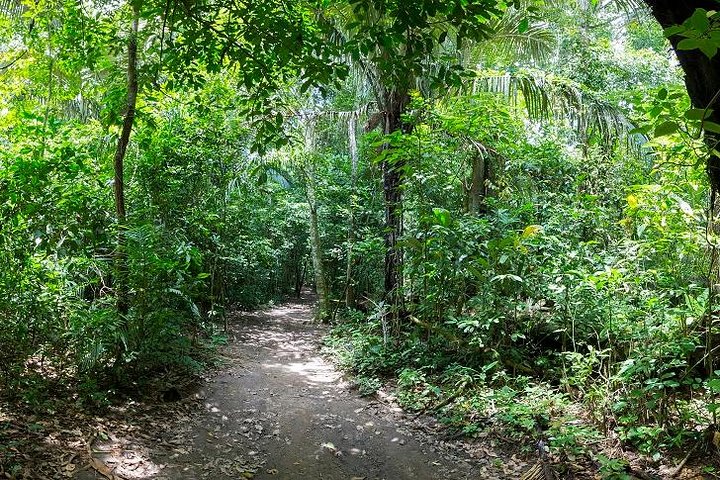 Rurrenabaque Pampas. 3 Days & 2 Nights.PRIVATE TOUR 3PPL MIN