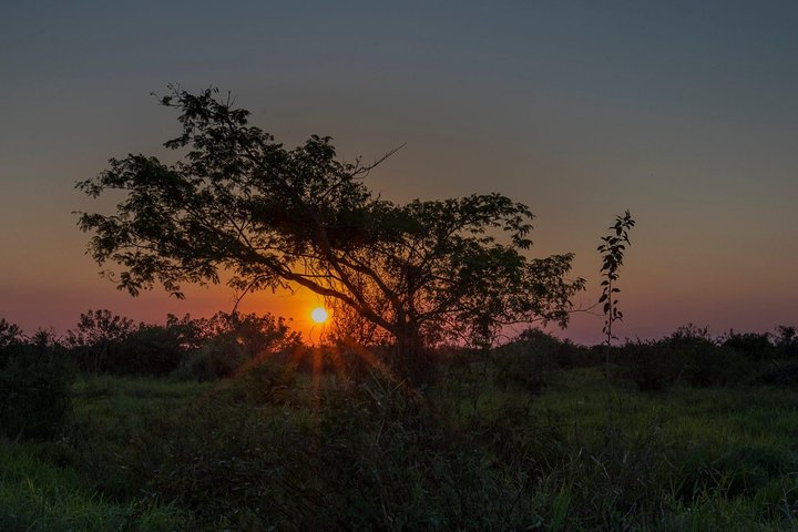Rurrenabaque Pampas. 3 Days & 2 Nights.PRIVATE TOUR 3PPL MIN