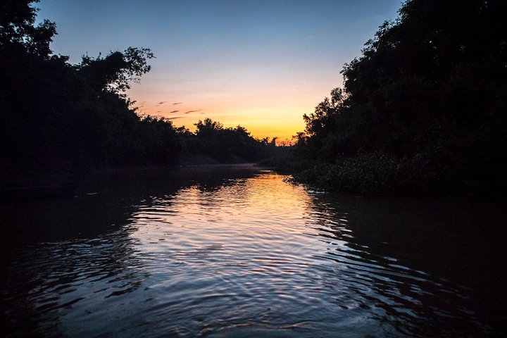 Rurrenabaque Pampas. 3 Days & 2 Nights.PRIVATE TOUR 3PPL MIN