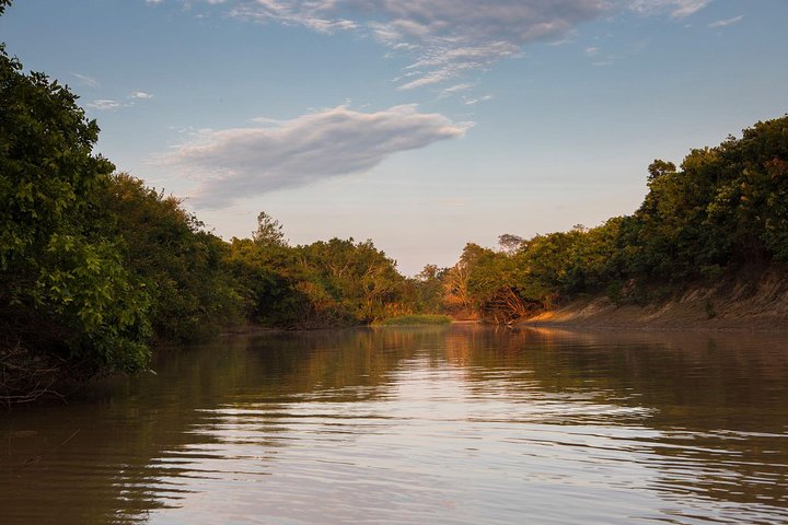 Rurrenabaque Pampas. 3 Days & 2 Nights.PRIVATE TOUR 3PPL MIN