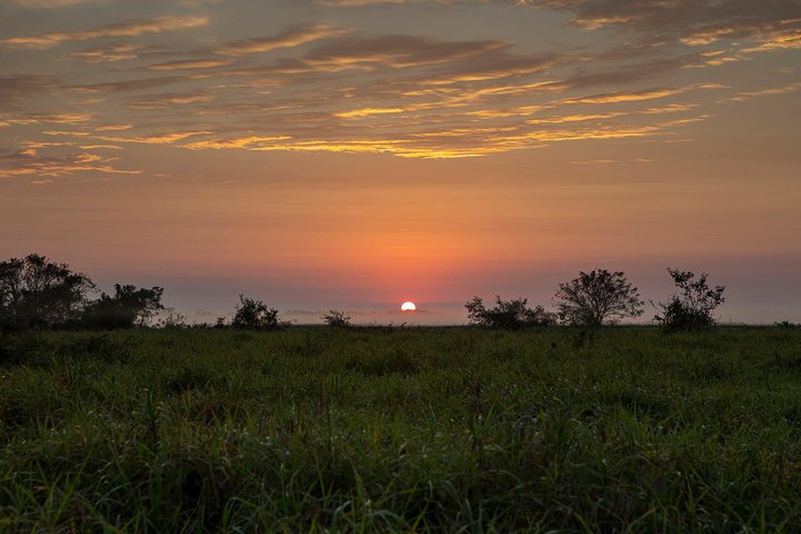 Rurrenabaque Pampas. 3 Days & 2 Nights.PRIVATE TOUR 3PPL MIN