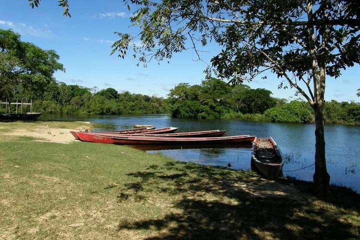 Rurrenabaque Pampas. 3 Days & 2 Nights.PRIVATE TOUR 3PPL MIN
