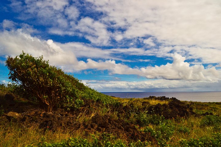 Caves and Lava Fields: Half Day Hike