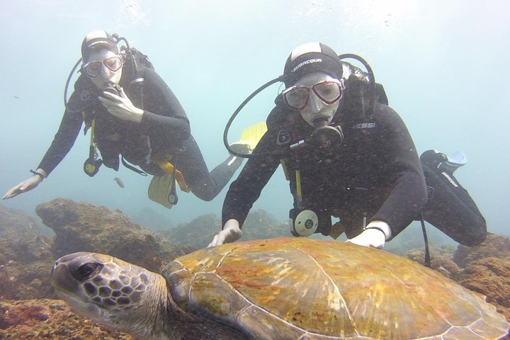 Scuba Diving Beginner's Session in Costa Adeje