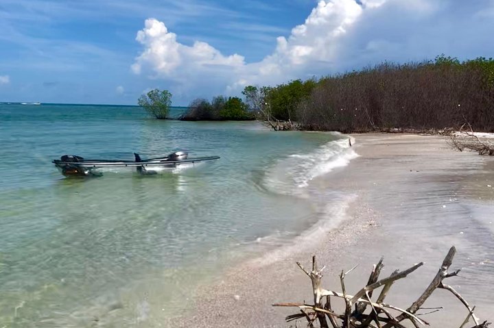 Clear Kayak Tour of Shell Key Preserve and Tampa Bay Area