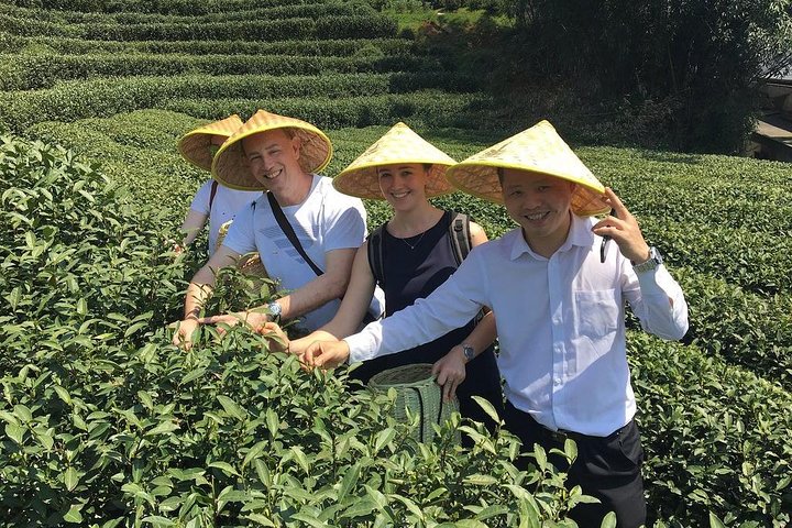 Authentic Hangzhou Longjing Tea Culture Experience Tour