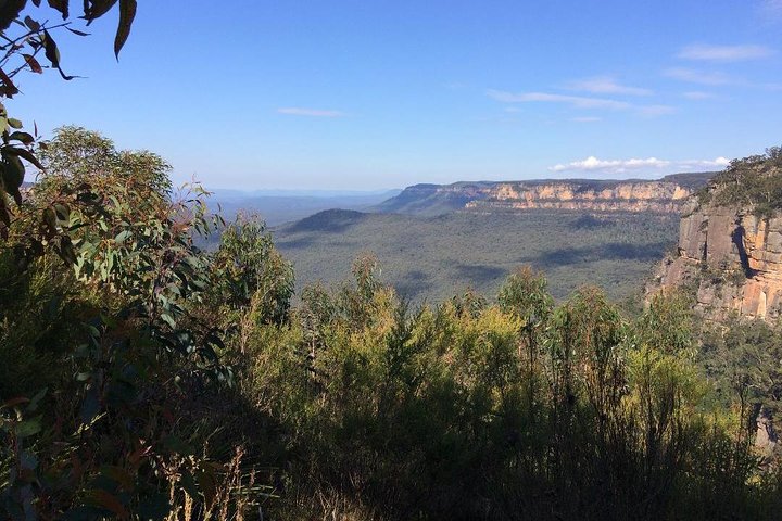PRIVATE Blue Mountains tour & Koalas, Kangaroos, Cruise plus more
