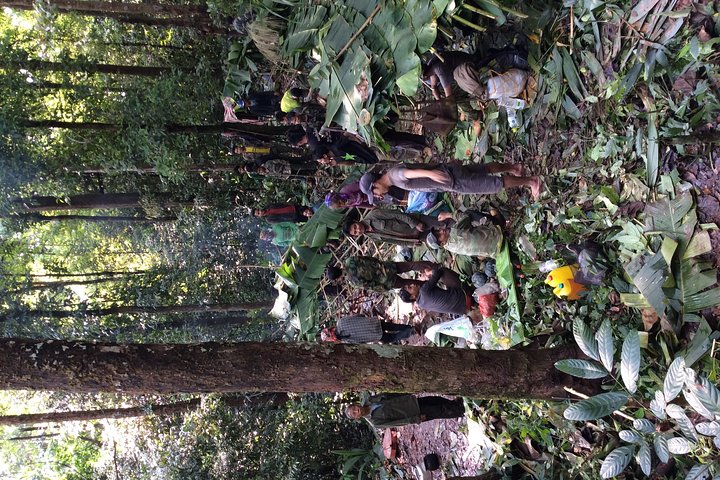The Wild Explorer - 3 days forest trek with homestay and camping