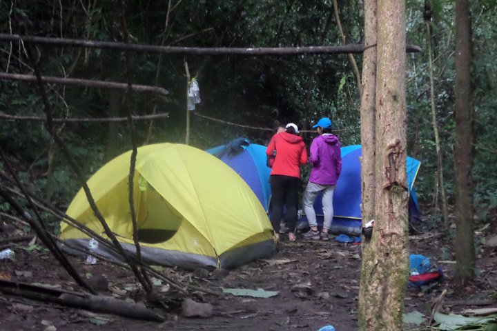 The Wild Explorer - 3 days forest trek with homestay and camping