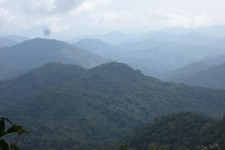 The Wild Explorer - 3 days forest trek with homestay and camping