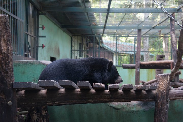 Luang Prabang City Tour & Kuang Si Waterfalls